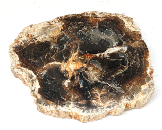 Zkamenělé dřevo exkluzivní plátek leštěný 230 g