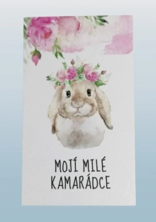Dárková kartička - Mojí milé kamarádce