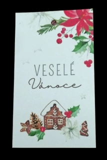 Dárková vánoční kartička VESELÉ VÁNOCE